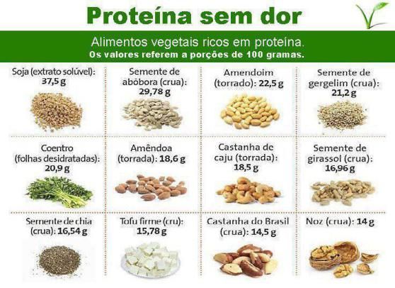 Proteína sem Carne, Alimentos Vegetais rico em proteína