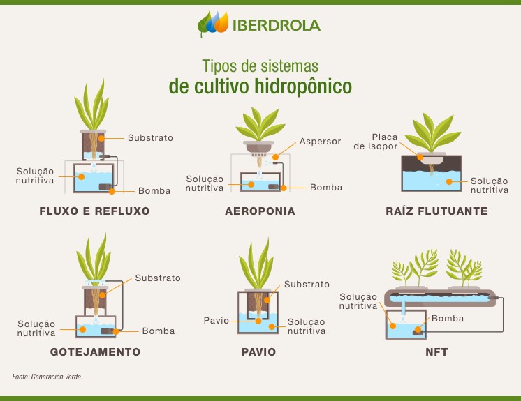 Demonstração de tipos de cultivo de alimentos hidropônicos